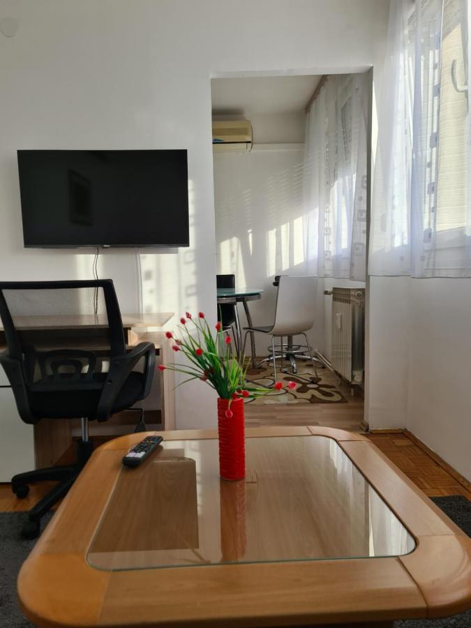 Apartman U Velikoj Gorici Zeljko Nagygorica Kültér fotó