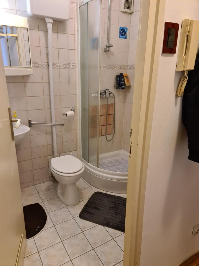 Apartman U Velikoj Gorici Zeljko Nagygorica Kültér fotó